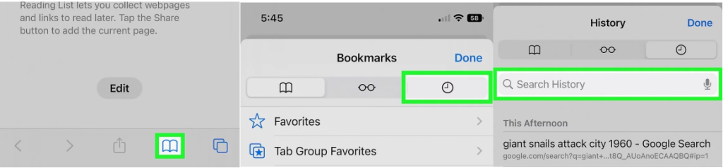 How to Check/Recover Safari History on iPhone